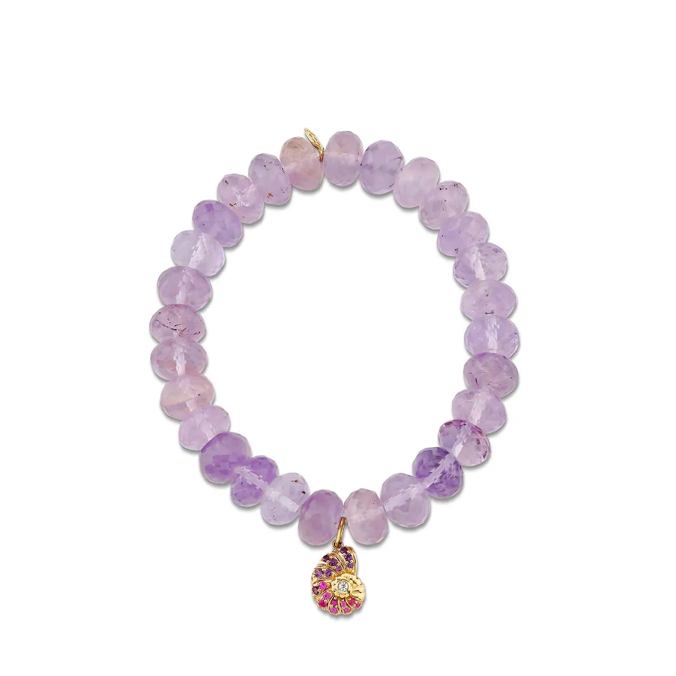 Gold & Sapphire Nautilus Shell on Amethyst
