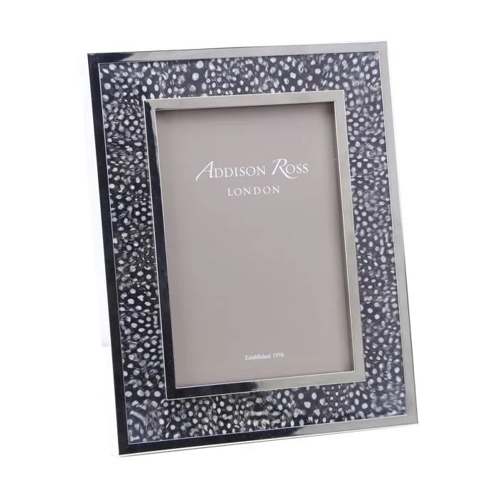 Guinea Grey Feather and Silver Frame