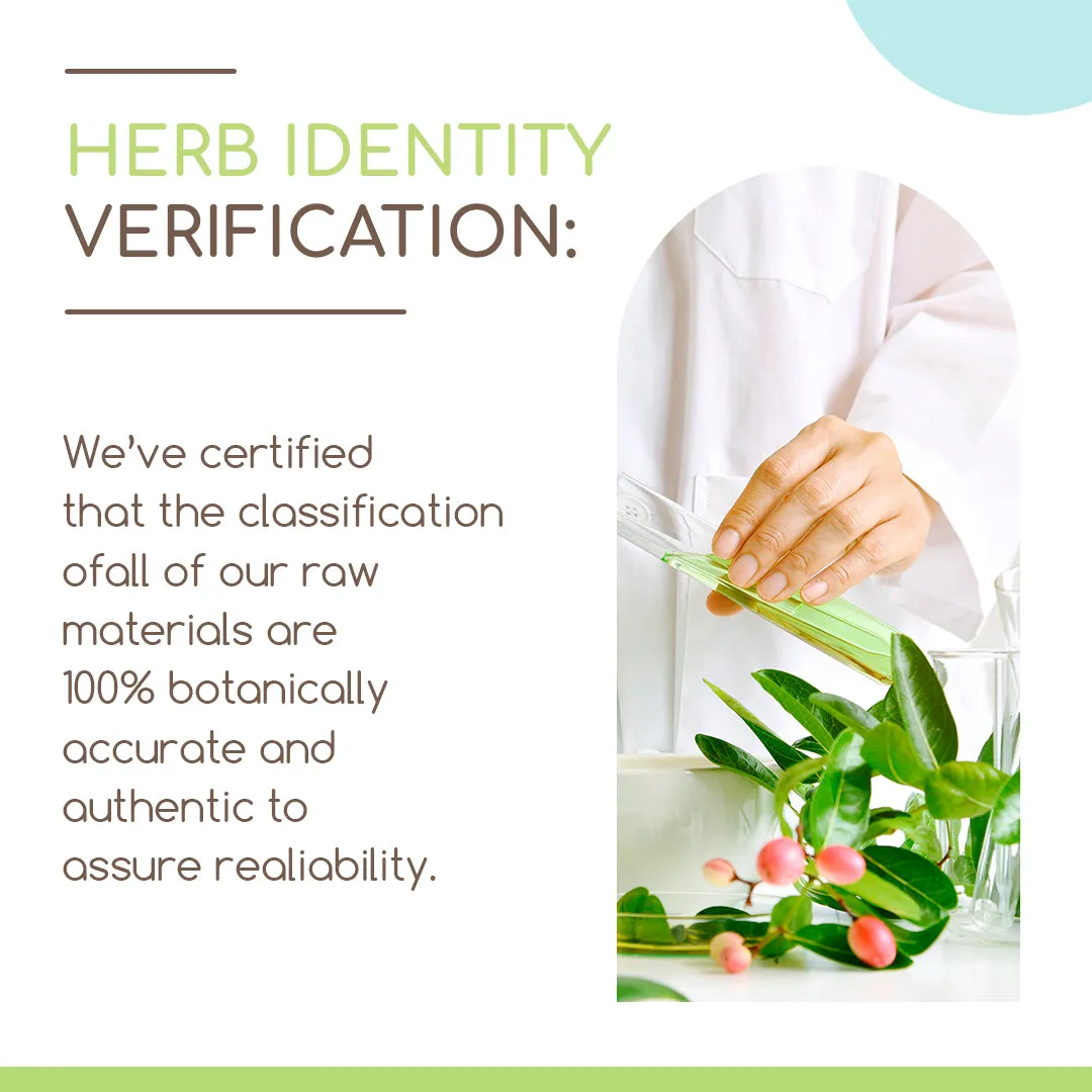 HerbEra | Fennel Seed Herbal Extract Tincture| 60ml | Organic | Alcohol Free | Made in USA