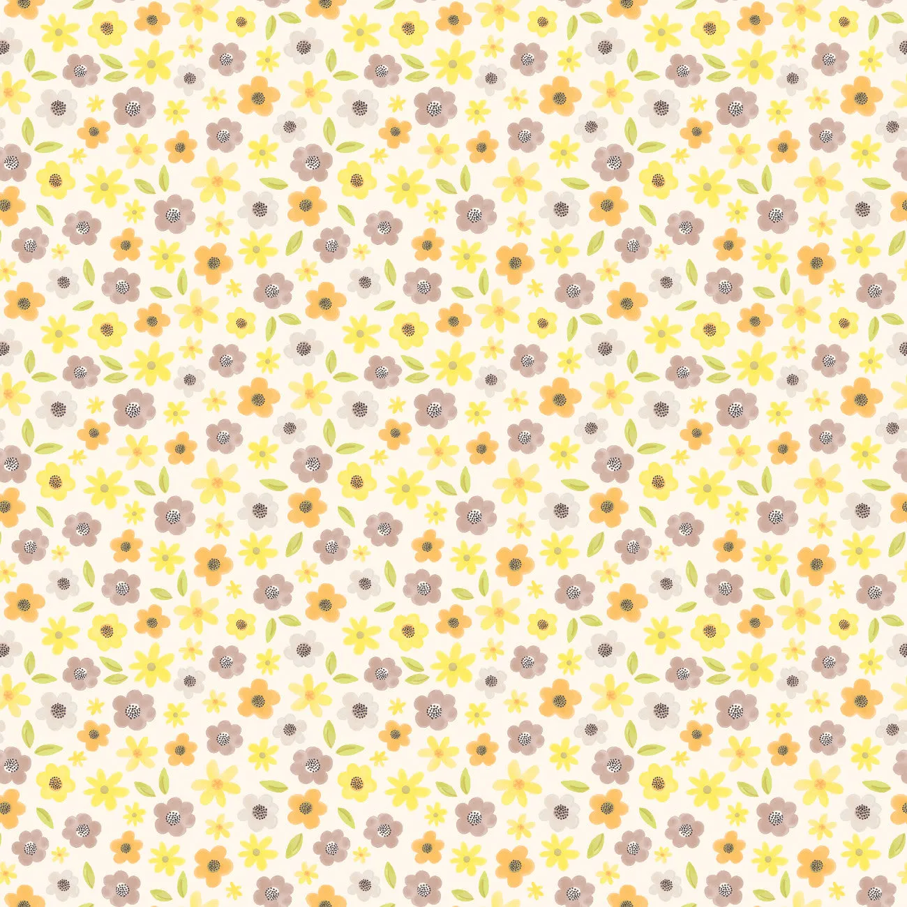 Honey Bear 89230104-01 Cream