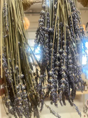 Lavender Bunch | French