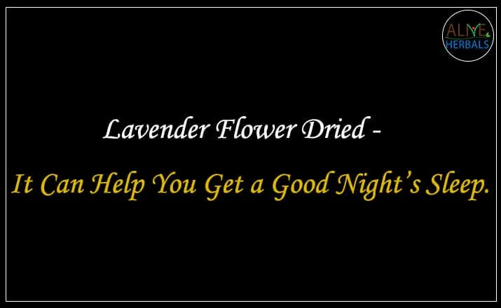 Lavender Flower Dried