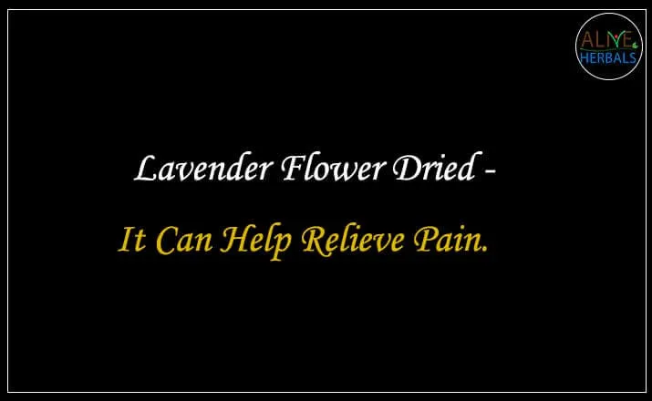 Lavender Flower Dried