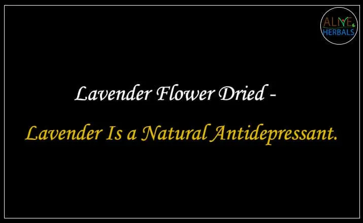 Lavender Flower Dried