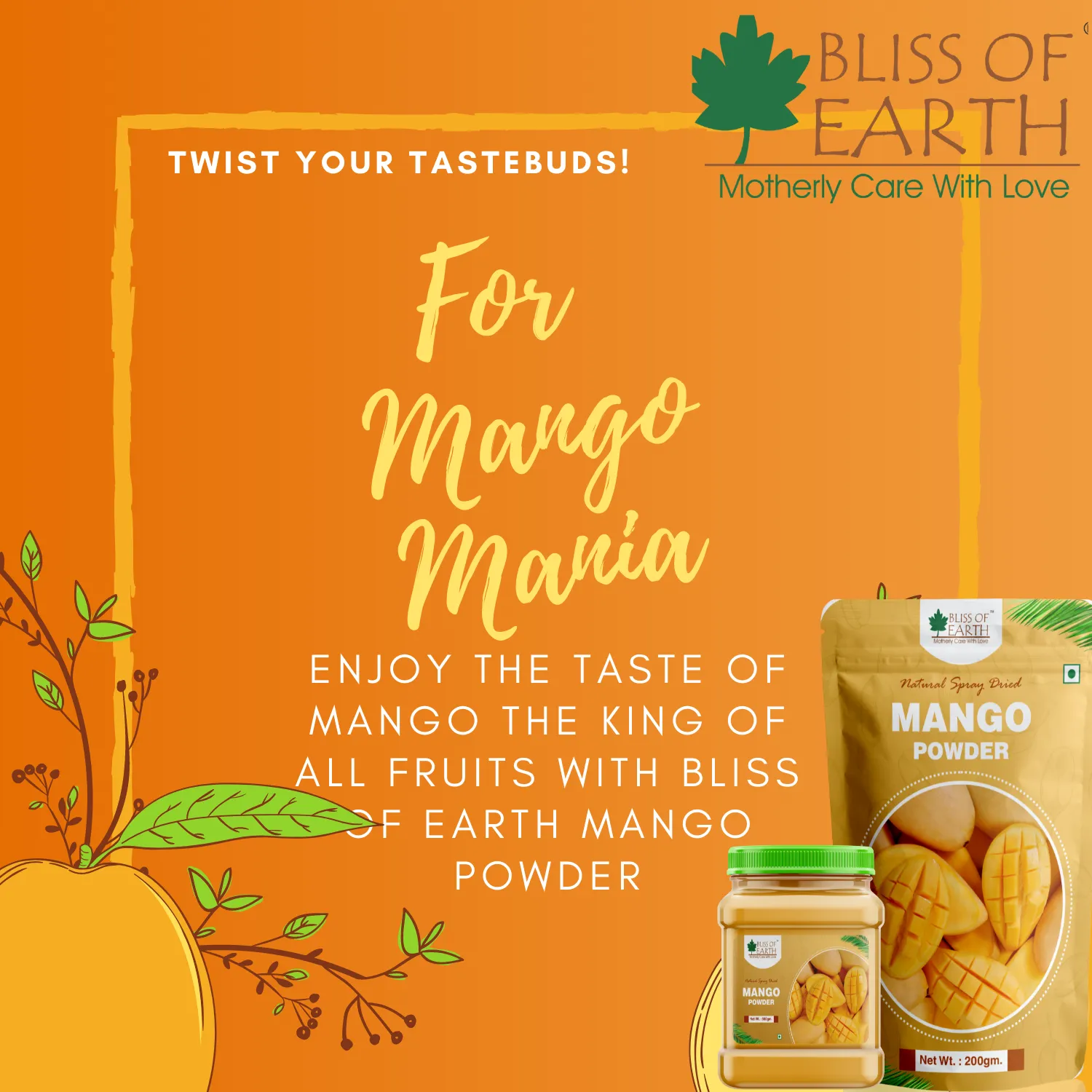 Mango Powder Natural Spray Dried 900gm