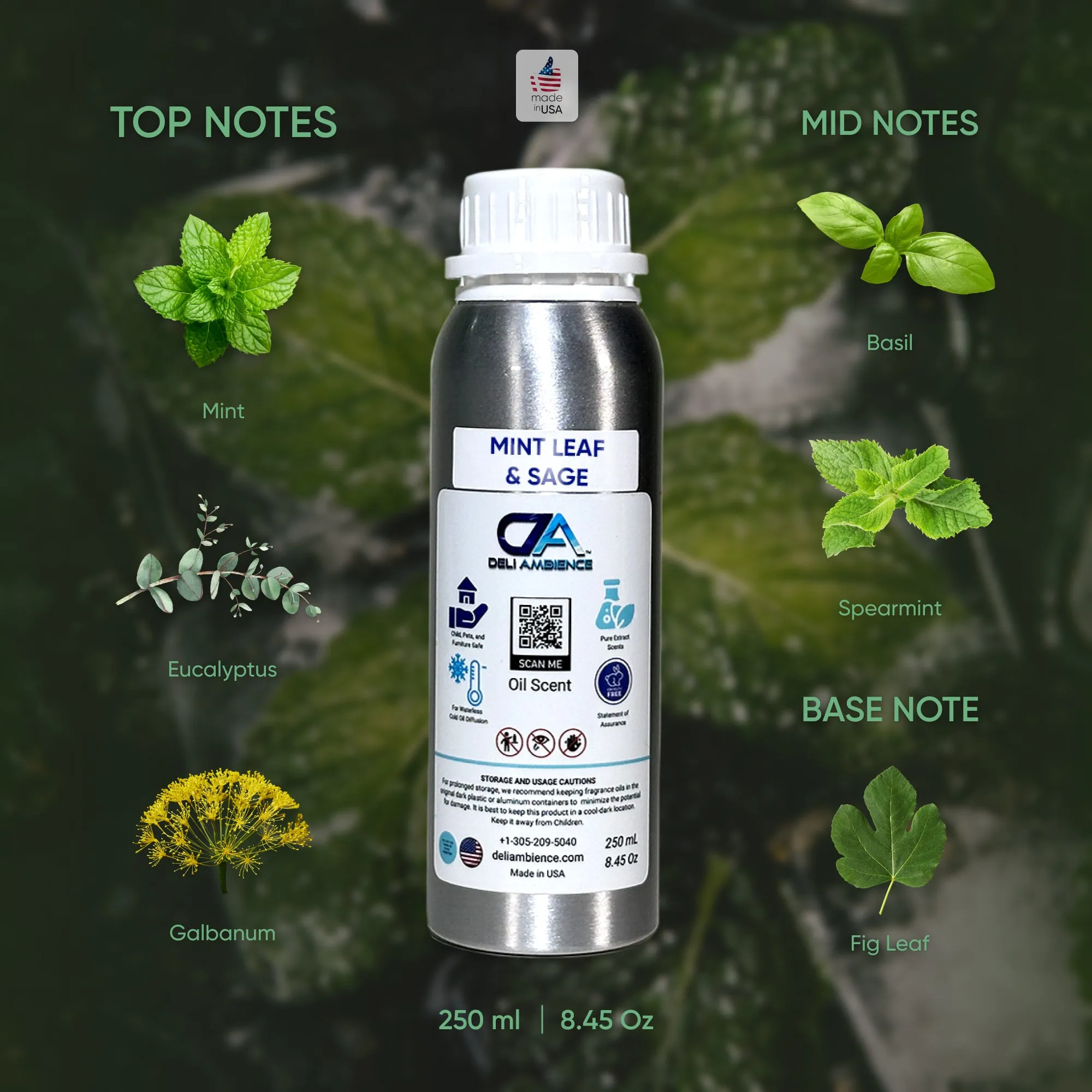 Mint leaf & Sage Oil Scent