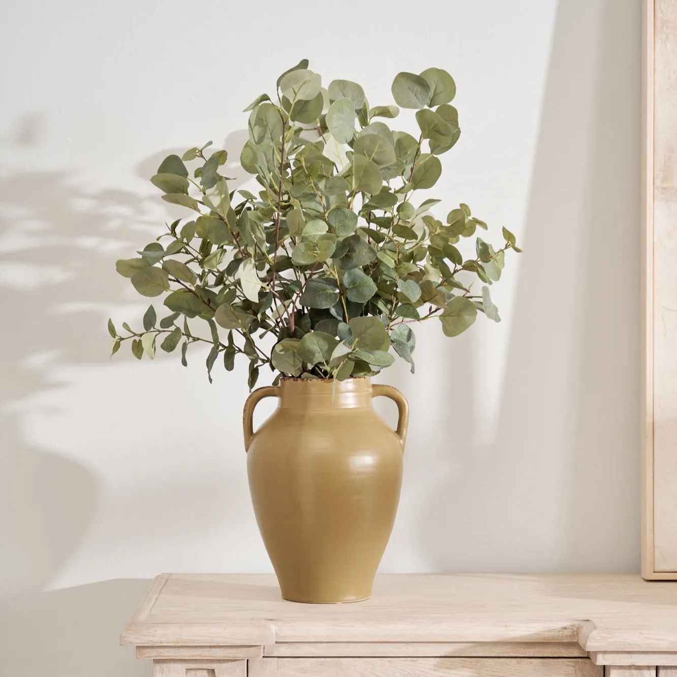 Natural Eucalyptus Stem