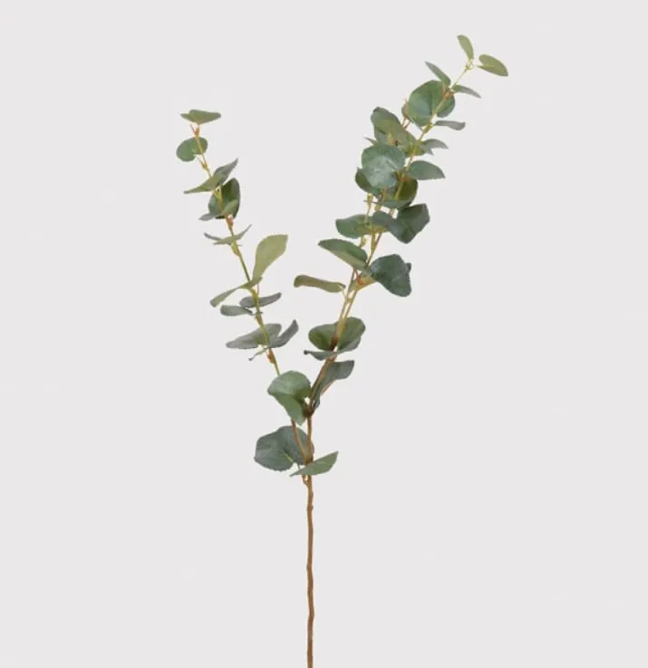 Natural Eucalyptus Stem