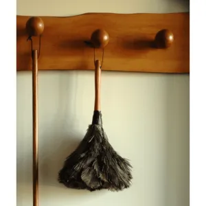 Ostrich Feather Duster