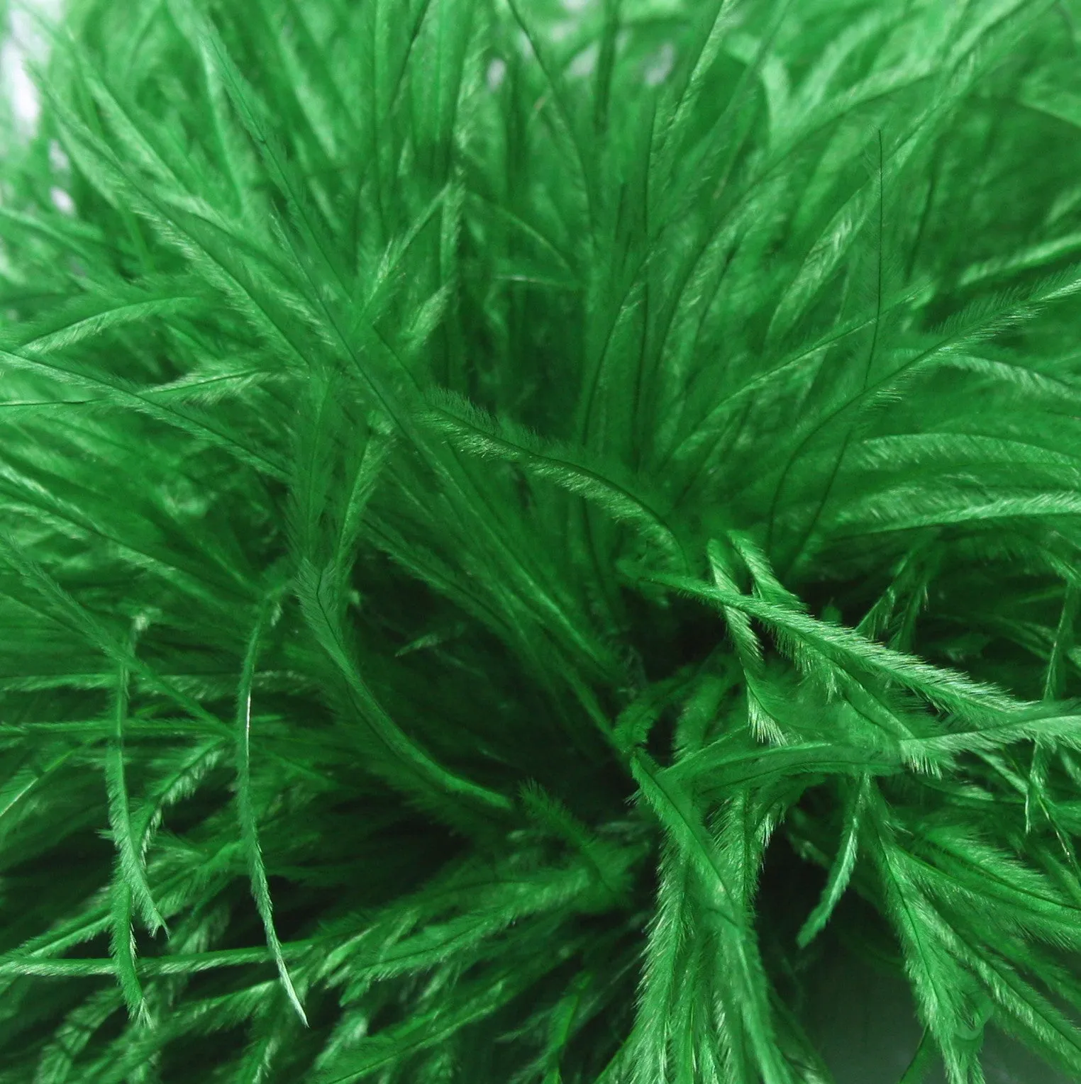 Ostrich Feather Hairclip
