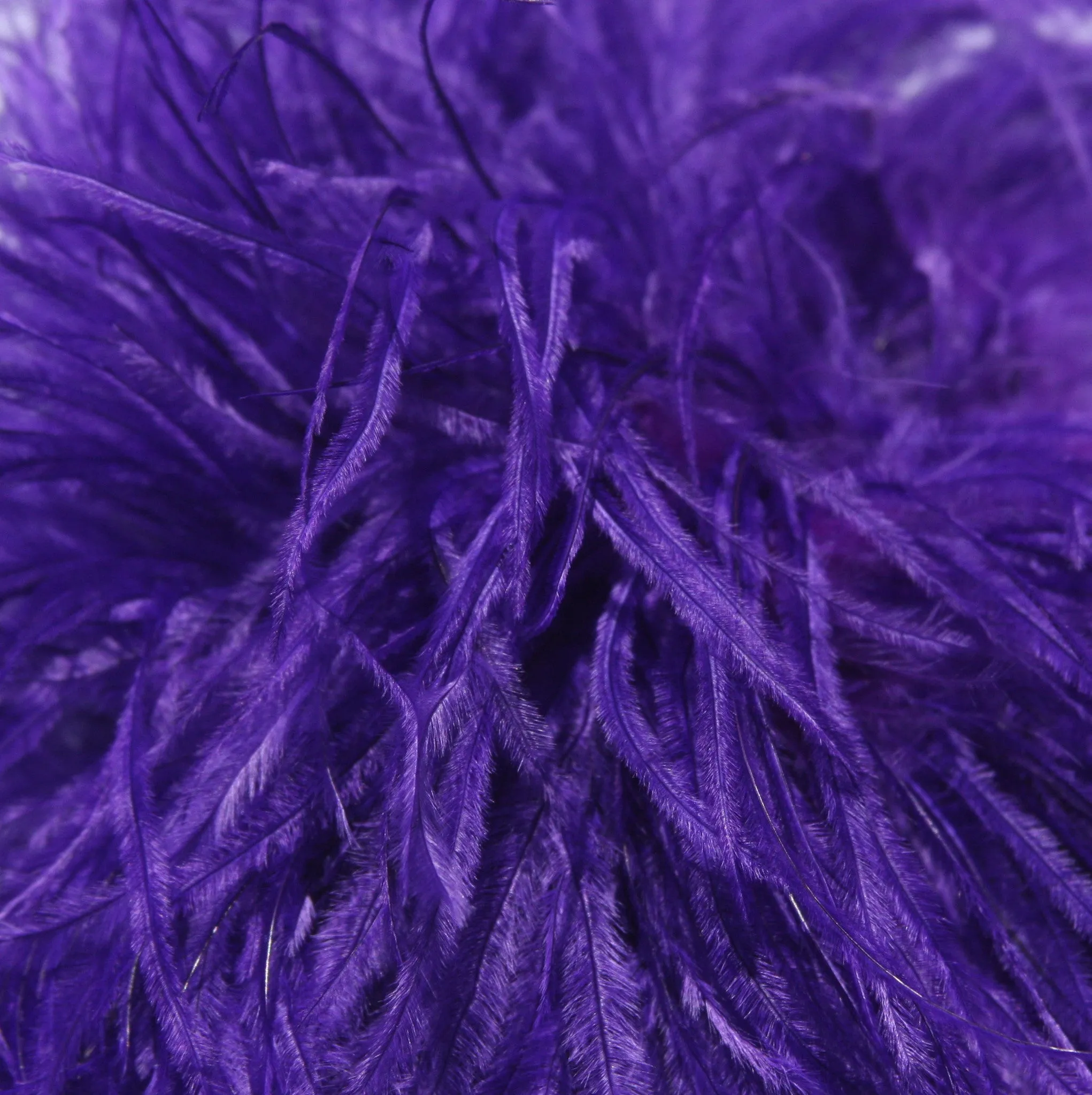 Ostrich Feather Hairclip