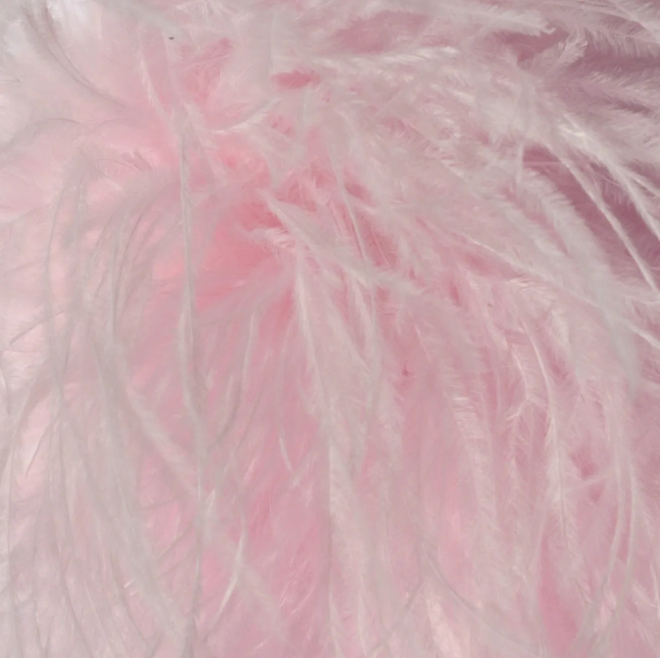 Ostrich Feather Hairclip