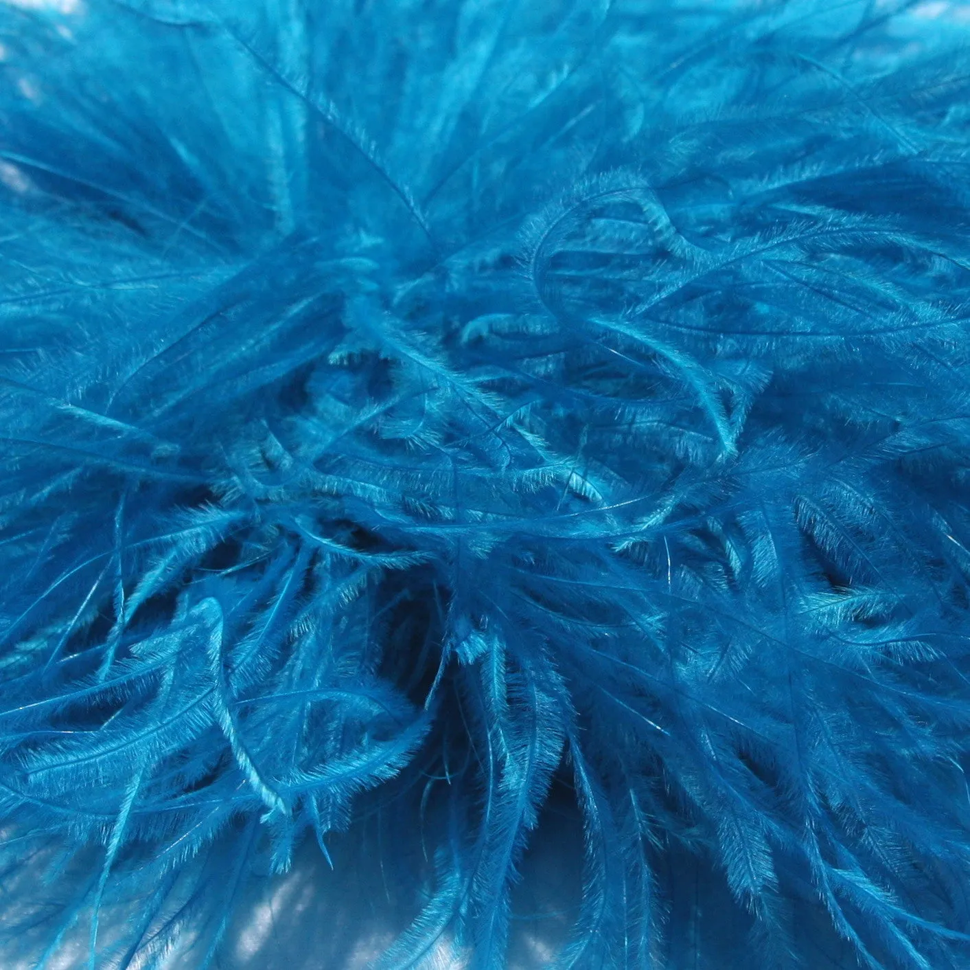 Ostrich Feather Hairclip