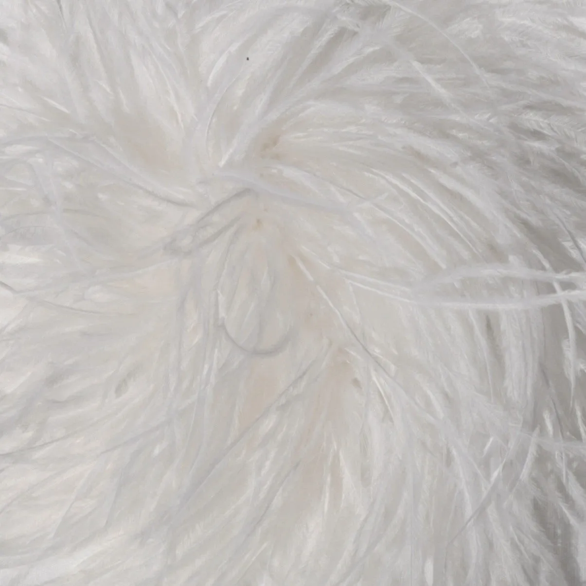Ostrich Feather Hairclip