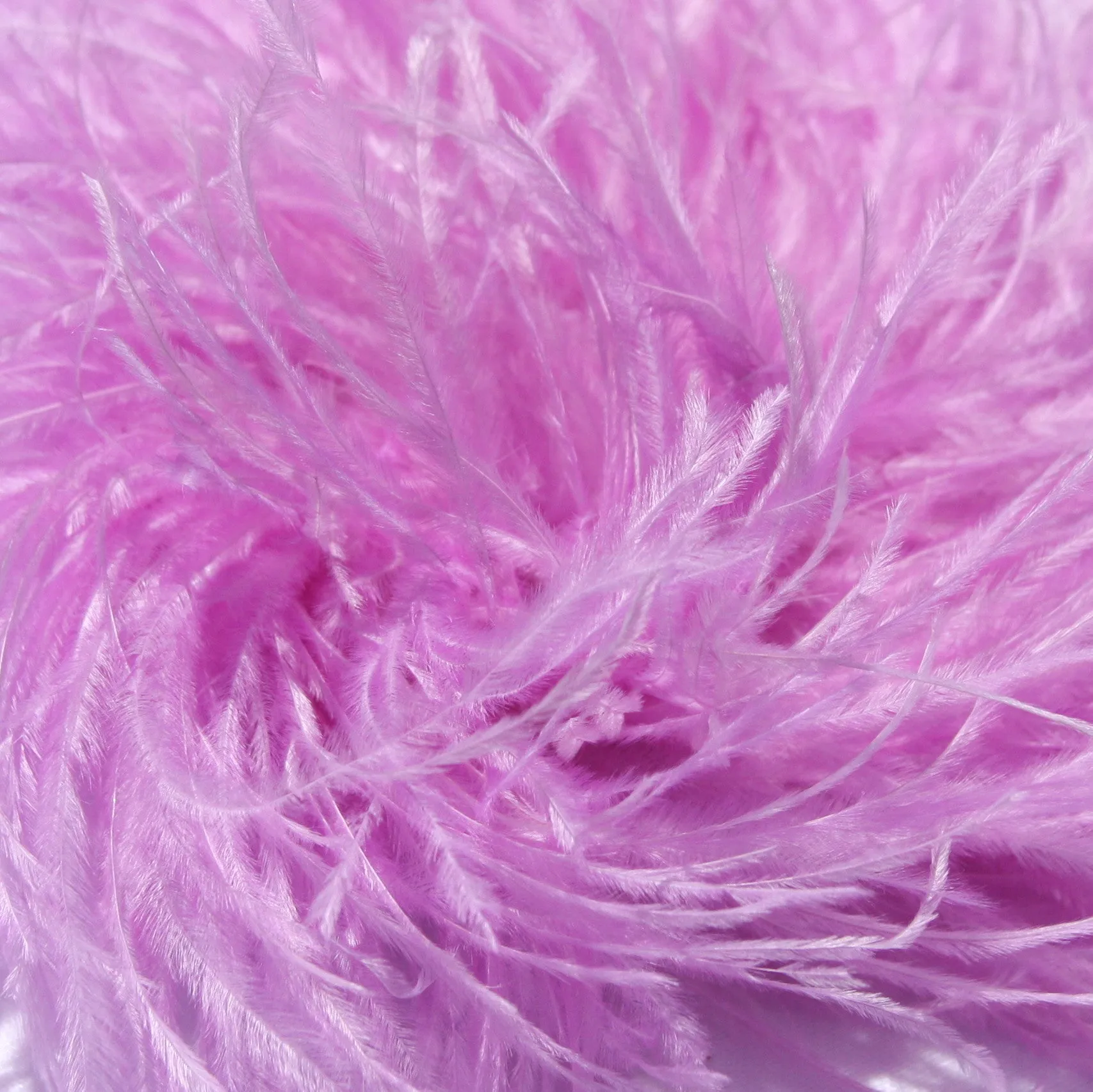Ostrich Feather Hairclip