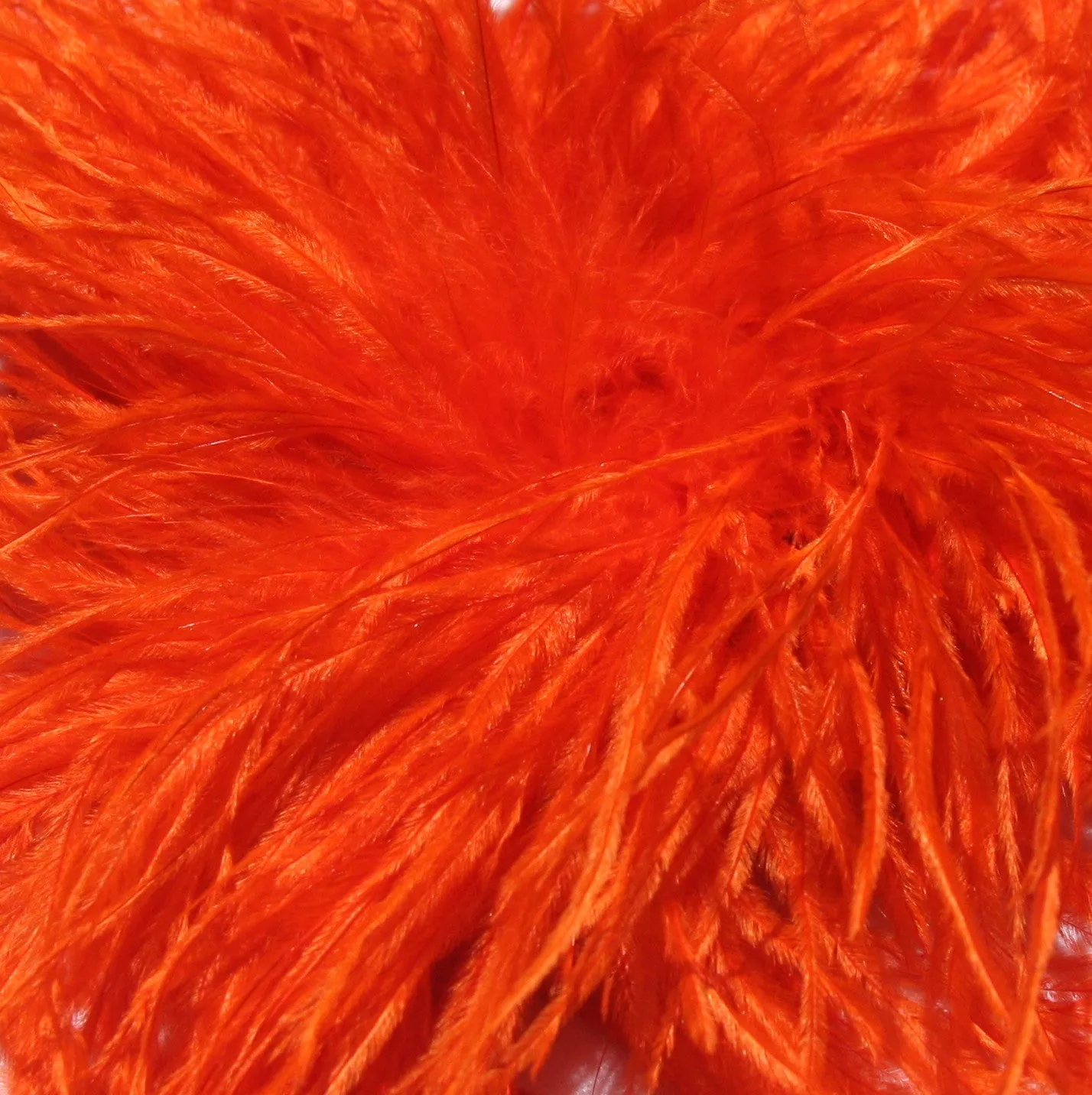 Ostrich Feather Hairclip