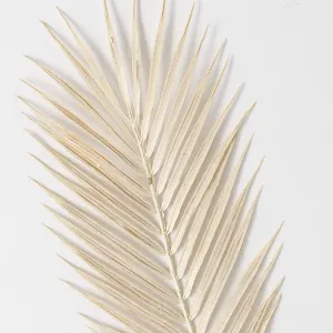 OVERSIZED CREAM FERN SPRAY