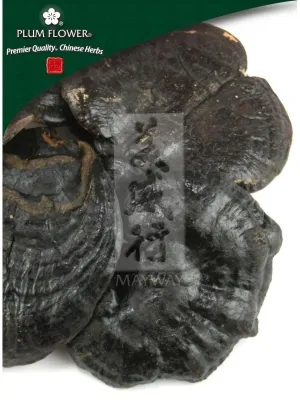 Plum Flower, Ling Zhi, black, Ganoderma sinense fungus, Whole Herb, 500 grams