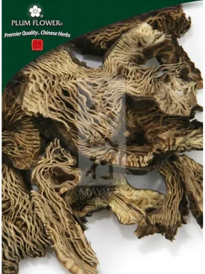 Plum Flower, Sheng Ma, Cimicifuga foetida rhizome, Whole Herb, 500 grams