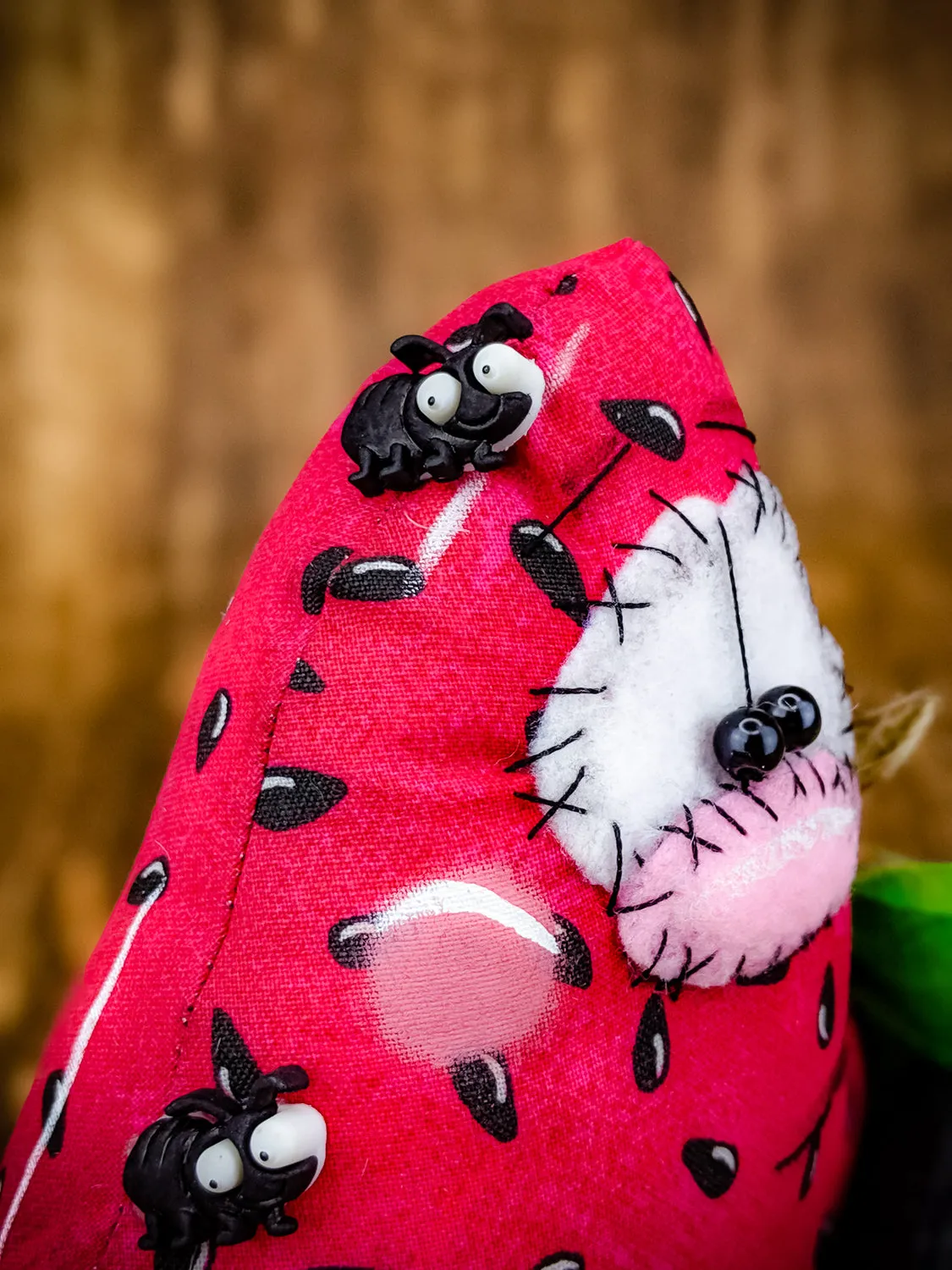 Sweet Slice of Watermelon Decor