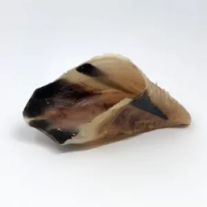 T. Forrest & Sons Hollow Hooves x 20