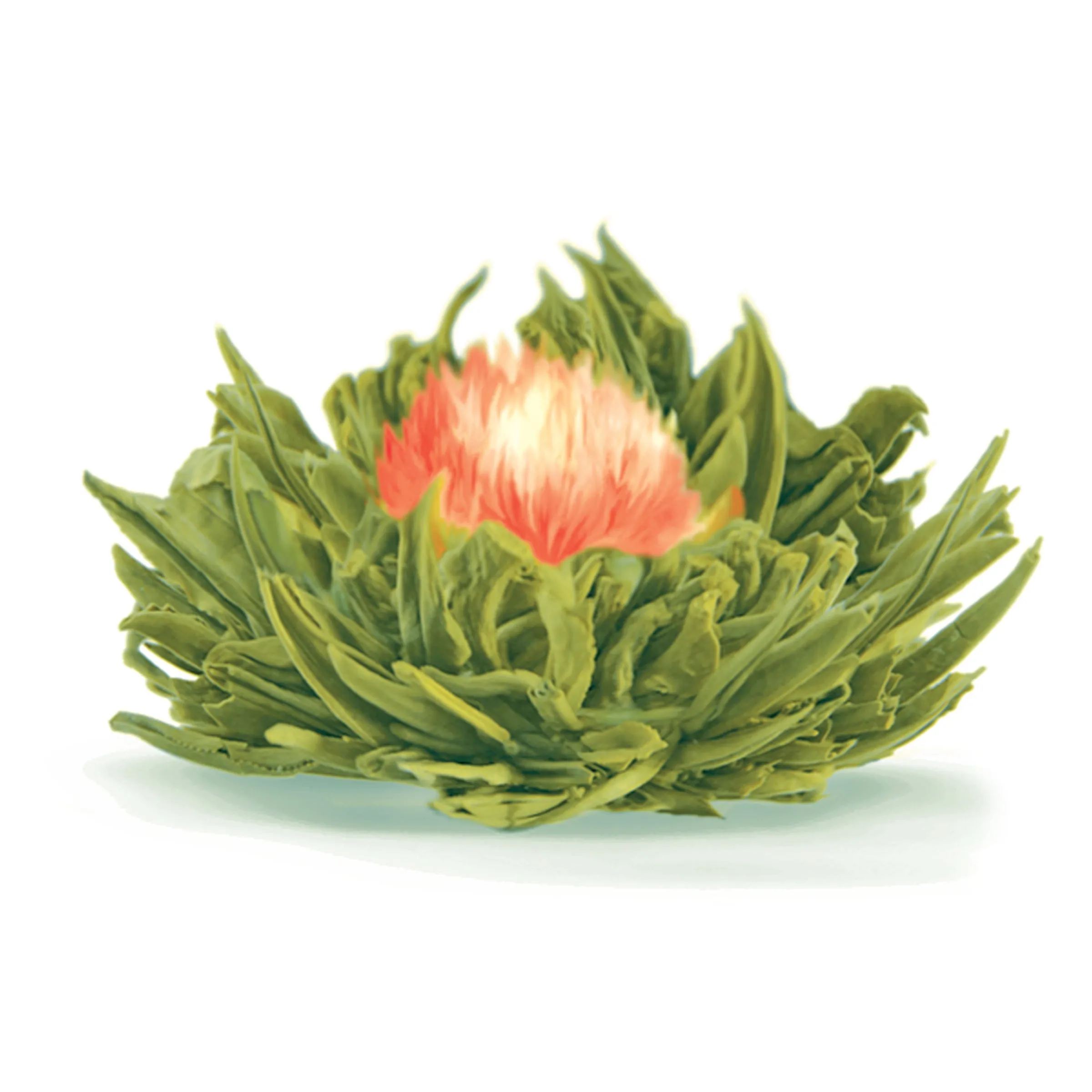 The Rose of Friendship Tea Rosary