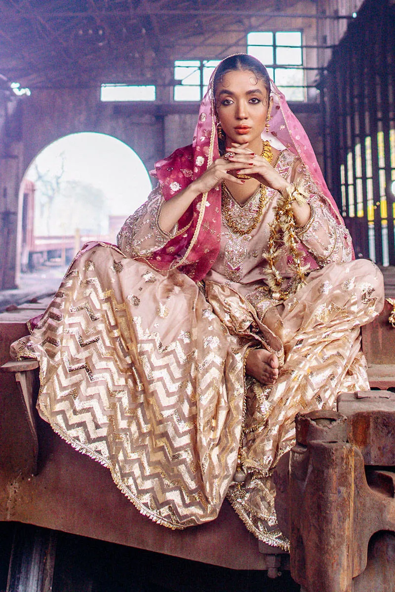 Traditional Pakistani Gharara Dress for Nikkah #BS874