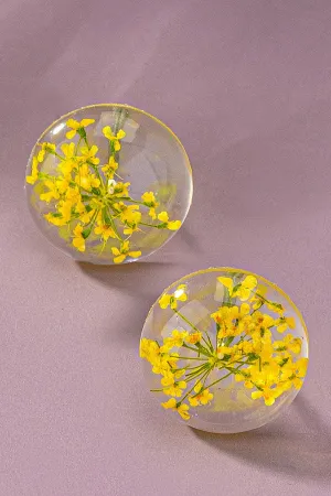 Yellow Half Dome Square Dried Flower Stud Earrings